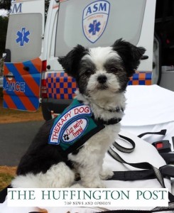 Gizmo Therapy Dog HuffPo