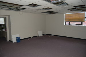 Renovation and Expansion of ASM’s “10-1″: Volume 10
